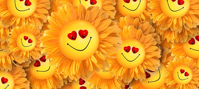 des tournesols smiley souriant